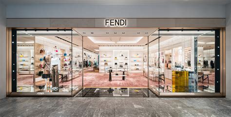 fendi contact france|fendi french.